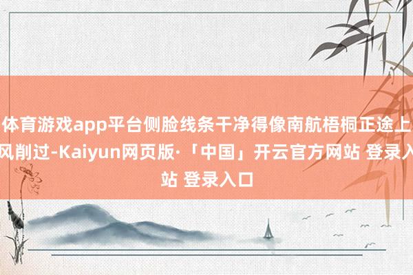 体育游戏app平台侧脸线条干净得像南航梧桐正途上被风削过-Kaiyun网页版·「中国」开云官方网站 登录入口